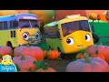 WOW! Buster Picks Out a Pumpkin | Go Buster! | Halloween Cartoons for Kids! | Funny Videos & Songs