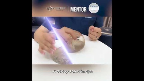 Giới Thiệu Về Túi Mentor