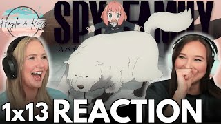 A NEW FAMILY MEMBER | SPYxFAMILY | Reaction 1x13