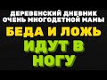 Беда и ложь идут в ногу \ ДЕРЕВЕНСКИЙ ДНЕВНИК очень многодетной мамы \ мать героиня