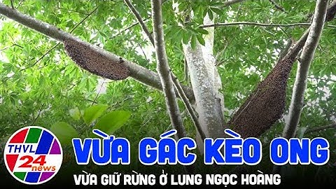 Vừa gác kèo ong vừa giữ rừng ở Lung Ngọc Hoàng