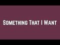 Grace potter  something that i want lyric