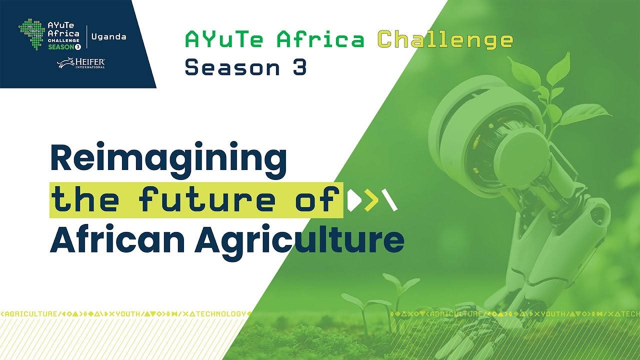 AYuTe Africa Challenge Uganda - Season 3 - YouTube