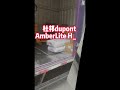 杜邦dupont AmberLite HPR9700离子交换树脂发货华坪区