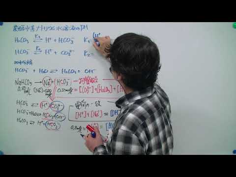 セミナー化学・化学基礎　331  炭酸水素ナトリウム水溶液のpH