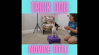 AKC Novice Trick Dog Title Submission with Norby