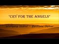 Cry for the angels  original  wolfgang vedral  free pdf