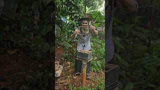 work Apis karinjodiyan bee | പുതിയ കരിഞൊടിയൻ എന്തായി beekeeping farming satisfying 4k shorts