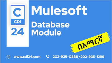 MuleSoft in Amharic-Database Module