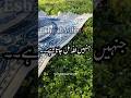 Jinhen allah mil jata he phir  islamic quotes status in urdu shorts