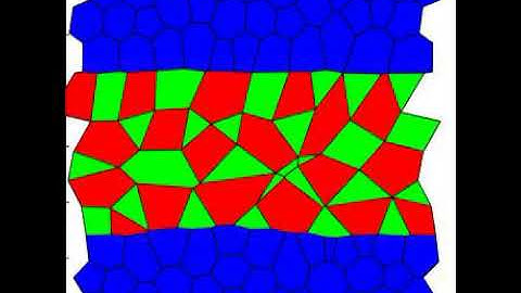 Vertex model simulation