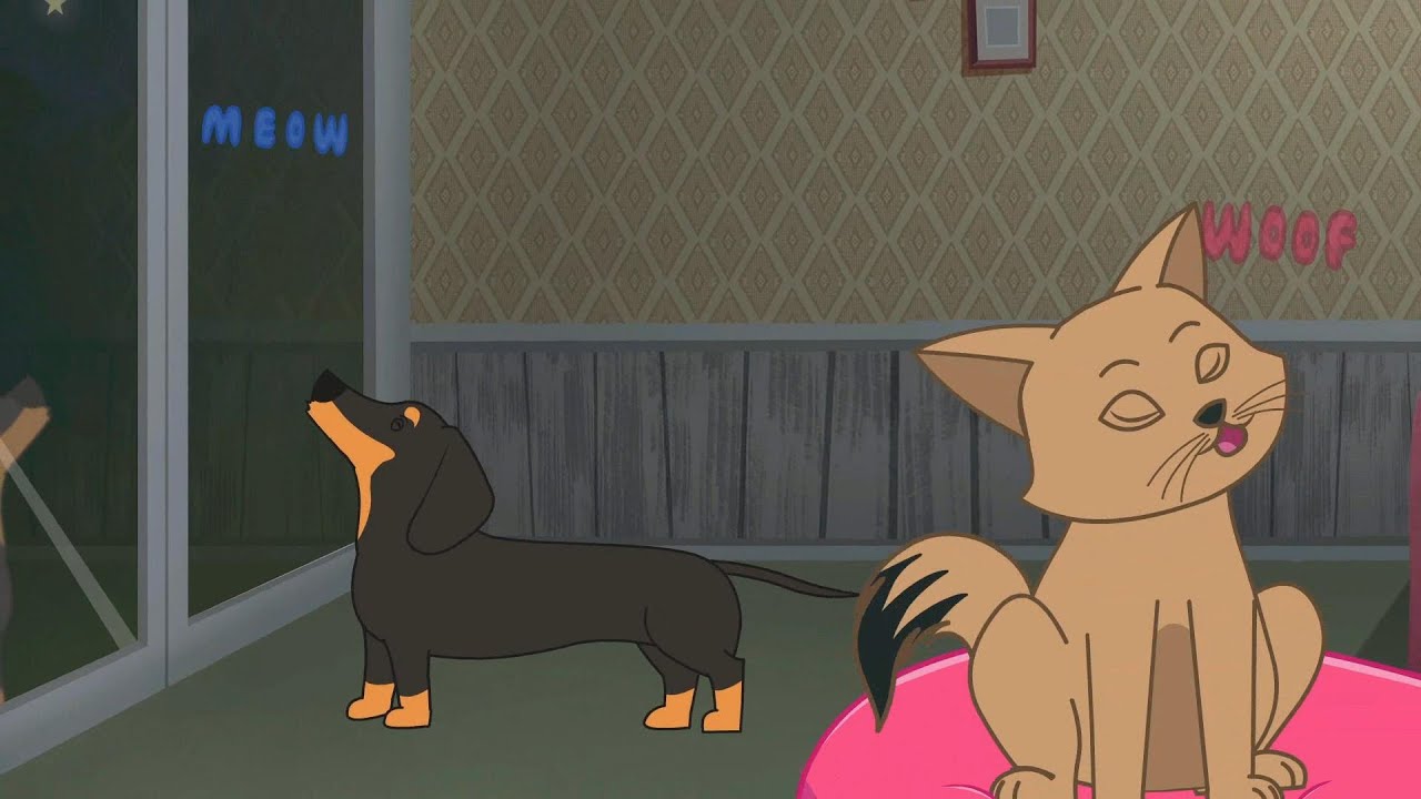 Hund und Katze - Kinderlieder mit Hunden und Katzen - YouTube