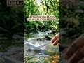 Mesmo no Silêncio, Deus Fala Com Você 😭 | Louvor de Resgate e Amor
