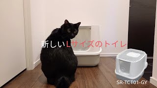 サンルックのLサイズ猫トイレ【SR-TCT01-GY】を買ってあげました（開封動画）