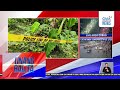 8-anyos na lalaki, patay matapos pagtatagain | Unang Hirit