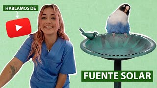 ☀ Fuente solar para pajaritos y hablamos de Youtube