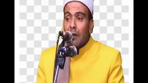 الشيخ عمرو السعيد ماتيسر من سوره الانفال 