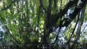 Rain and water ripples using Blender and Dynamic Paint.