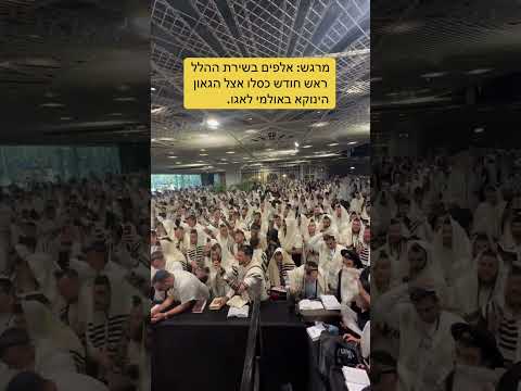 אלפים בשירת ההלל בתפילות שחרית ראש חודש כסלו אצל הגאון הינוקא הינוקא Yanuka 