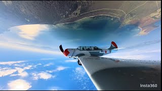 Aerobatics in the Yak 52