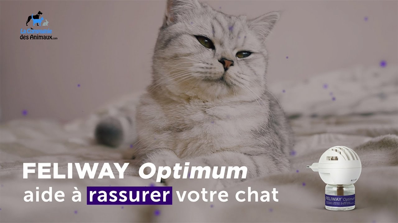 Feliway Optimum Diffuseur pour chats 48ml