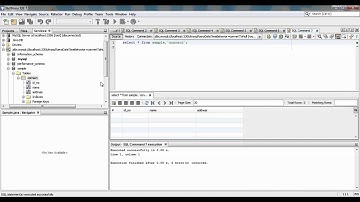 How To Connect MySQL to JAVA netbeans