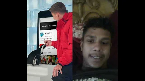 mr beast #penguin #automobile #challenge #funny #tech #duet #mrbeast #love #comedy #lifeisbutadream