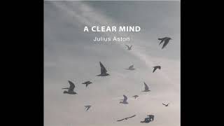 Video thumbnail of "Julius Aston - A Clear Mind"