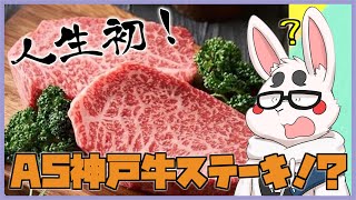 めちゃくちゃ美味そうなステーキを食べたのでFF14をやる人