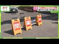 倒木が送電線に接触 強風や停電...観光にも影響 停電復旧も芝桜の名所は閉園に 北海道滝上町
