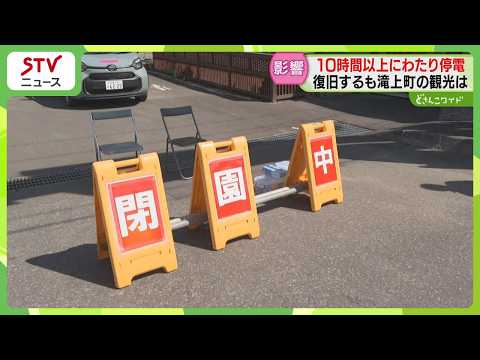 停電 Fallen tree touches power lines, causing strong winds and power