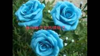 PAPER ROSES (Marie Osmond) by: Geolin Grace