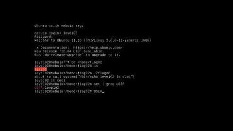 exploit.education - Nebula - Level 02 - Walkthrough - Command Injection