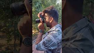 Raja Ji Ke Hipiya Shilpi Rajtrisha Kar Madhu Shortreels trishakarmadhu  Viral  Bhojpuri