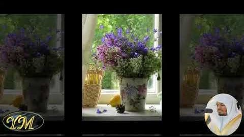 114  Surat  AnNasالمصحف كامل بصوت ياسر الدوسري سورة الناس