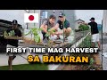 FIRST HARVEST NAMIN SA BAKURAN | Sarap sa Pakiramdam | Buhay sa Japan 