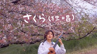 Sakura - Ukulele Cover