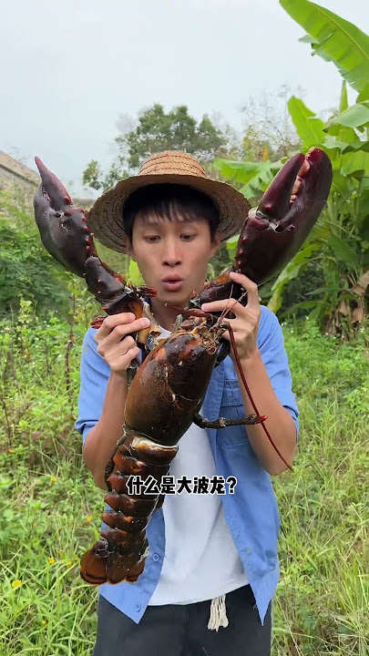 Have you ever eaten such a big lobster? |Chinese Mountain Forest Life and Food #Moo TikTok#FYP
