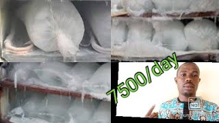 Cost of starting ice block business in Nigeria [lucrative ice block business].