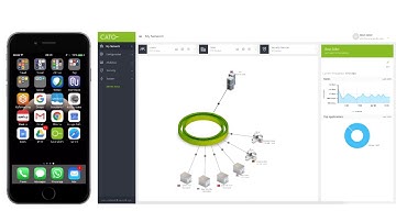 Secure access to Salesforce with Cato