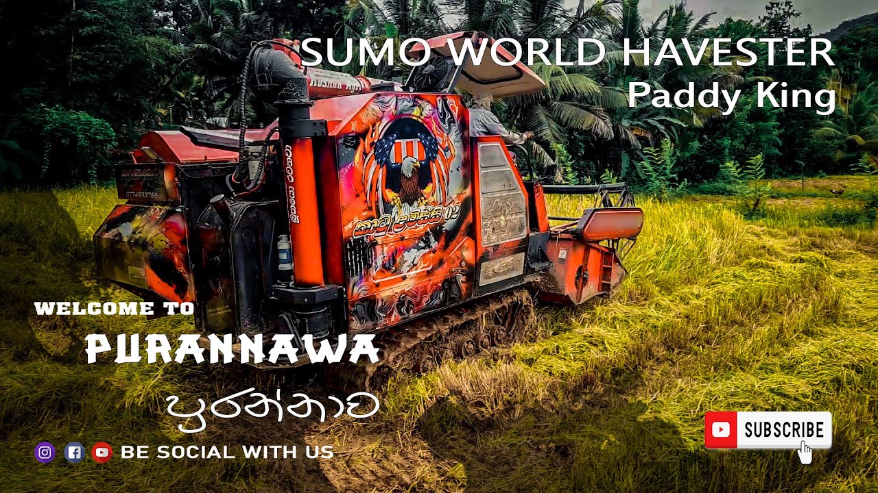 Largest Combine Harvester | Havester Best Profomance | Sumo World