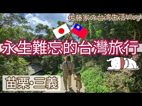 這經驗太可貴（？）佐藤一家人…獲得了衝擊性的回憶🙂【台湾旅行】苗栗の旅（上）兔子加糖Vlog