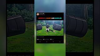 Mashles Body Is Crazy No Magic, Just Muscle