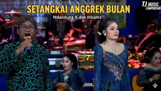 SETANGKAI ANGGREK BULAN -NDANDUNG X DEK MBAMZ (Hatiku untukmu hanyalah untukmu) Tj music Campursari
