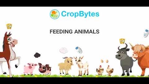 Feeding Animals - Tutorial | CropBytes