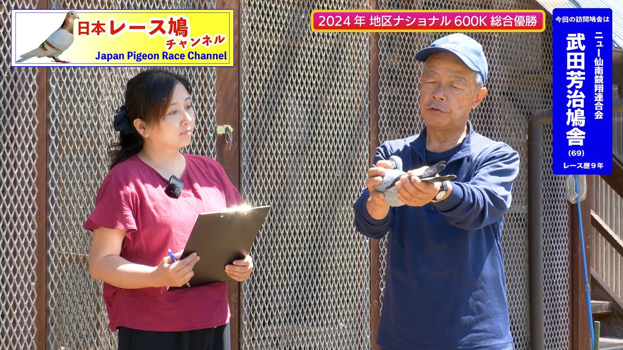 【2023・24年親子２代連続地区ナショナル６００K総合１位】武田芳治鳩舎（ニュー仙南競翔連合会）