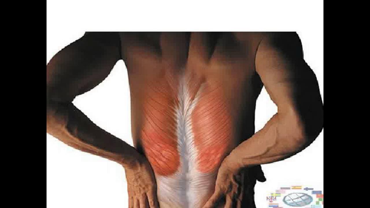 Растяжка ромбовидной мышцы. Мышцы спины повреждение. Упражнения на растяжение трапециевидной мышцы. Большая и малая ромбовидные мышцы. Мышцы спины повреждение.