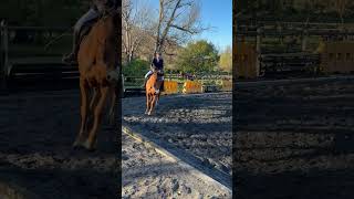 Seeis Mirage  - Preliminary / Training Level Test 1