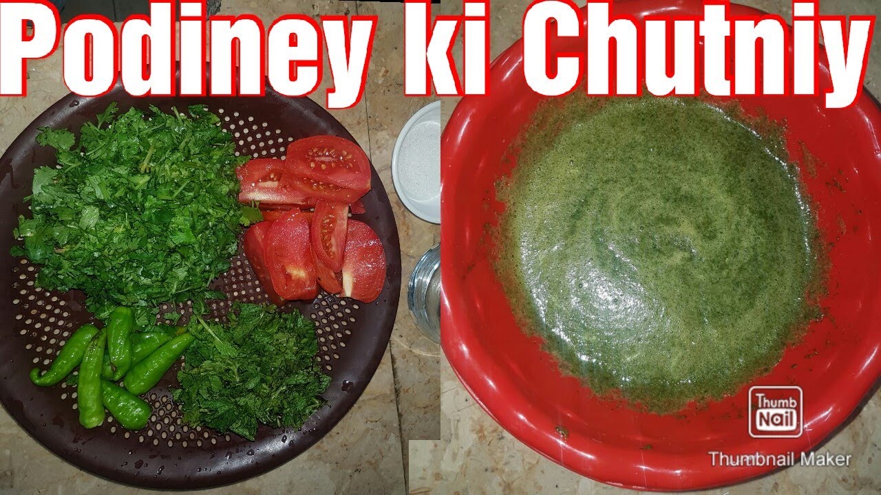 How to make pudina chutney punjabi style Pudine ki chatni (Green Mint