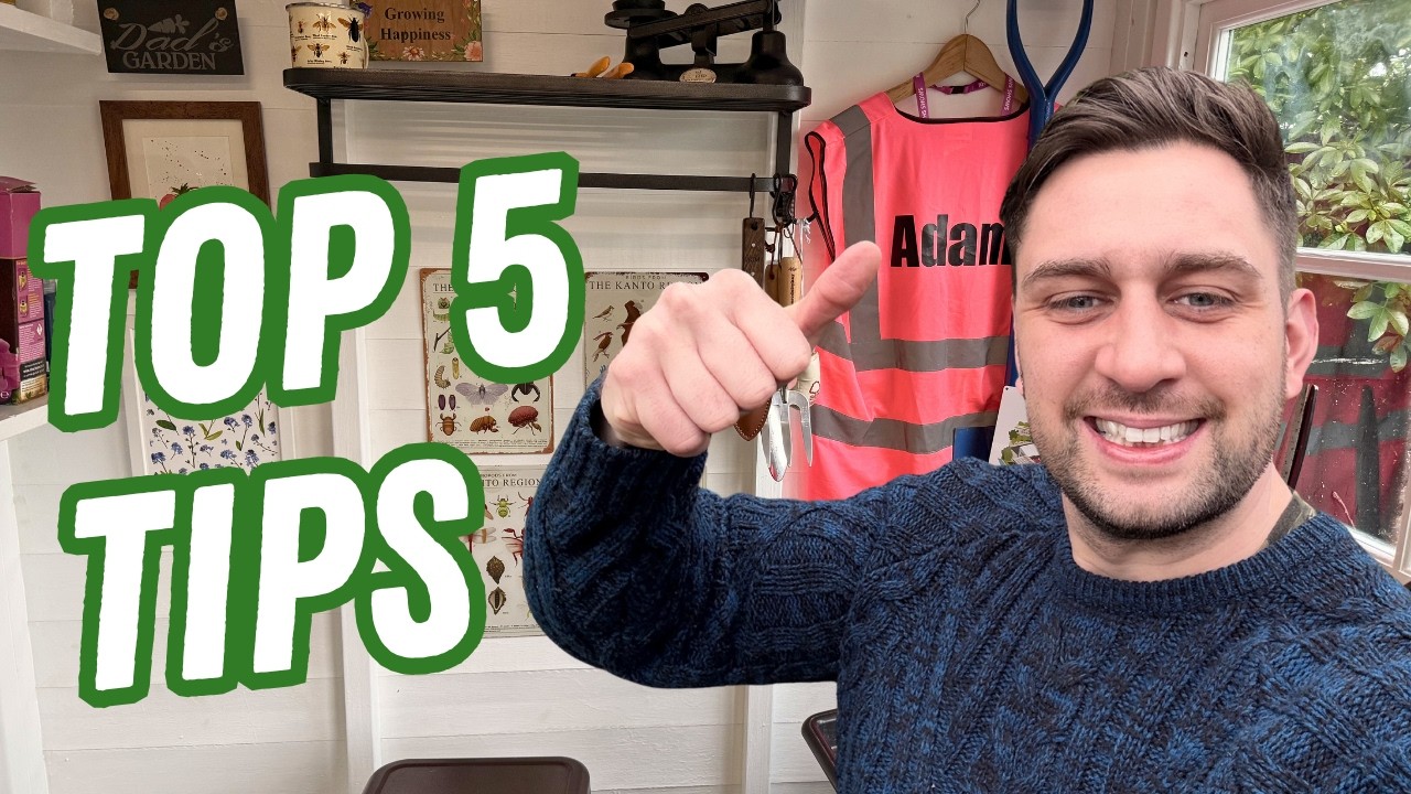 5 советов для начинающих садоводов, как избежать перегрузки информацией